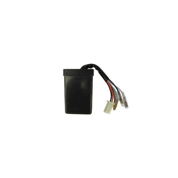 CDI PARA MOTO YAMAHA YW100 - BRM